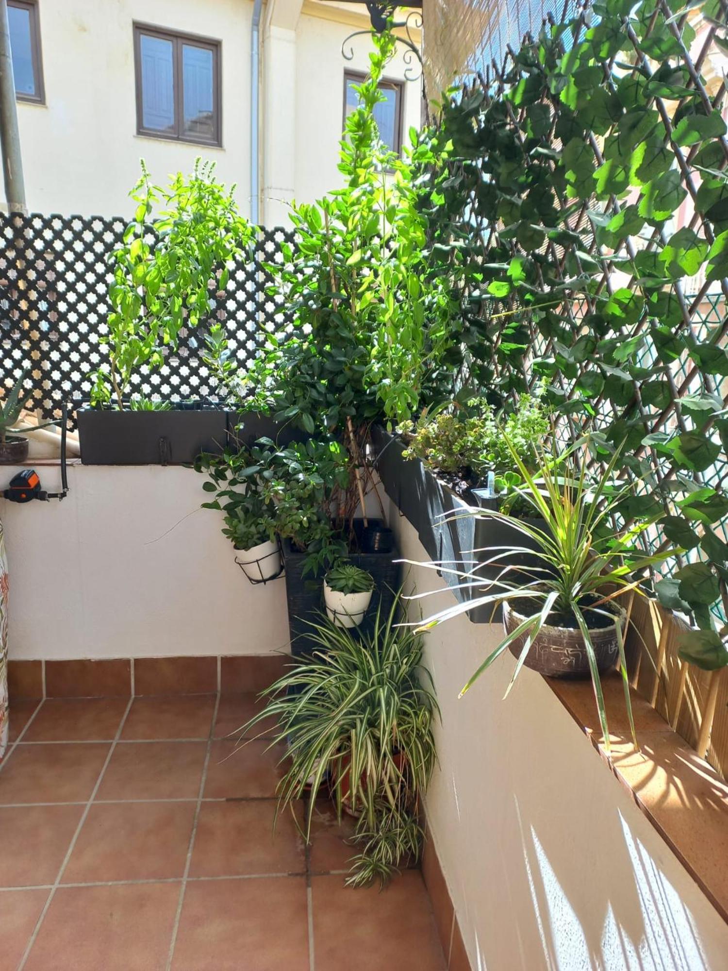 Atico Exclusivo En El Centro De Granada Apartment Luaran gambar